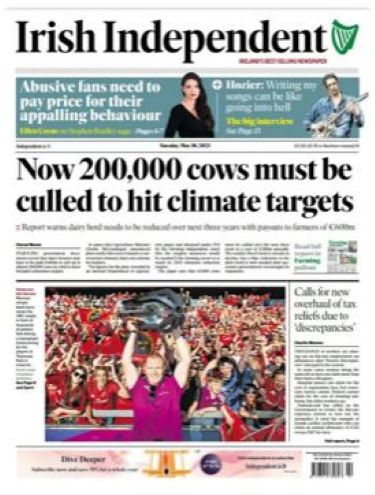 Irish Independent - Cows Culled.JPG